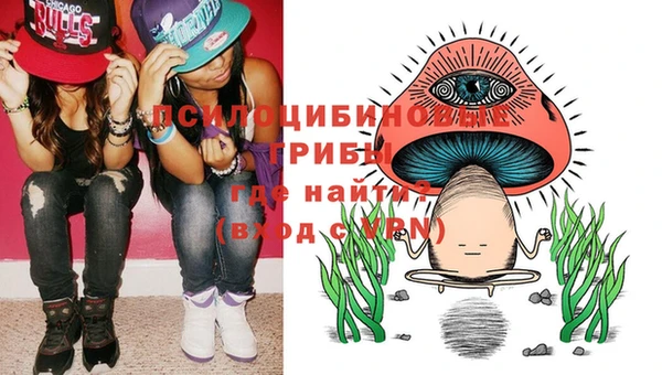 метадон Пересвет