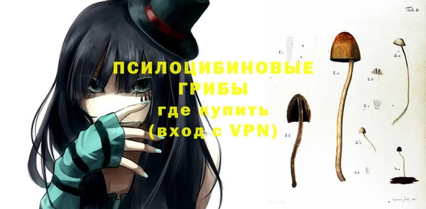бошки Пестово