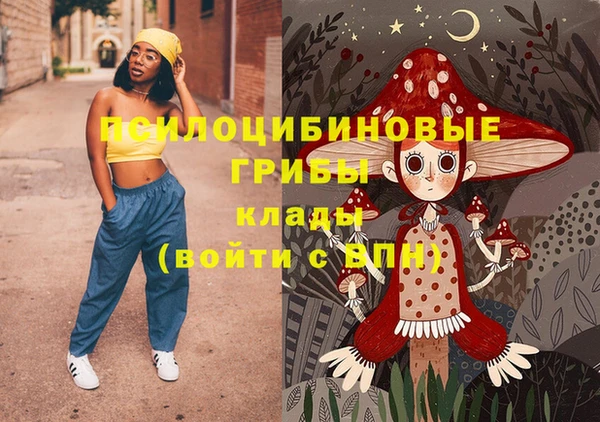 круглые Переславль-Залесский