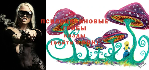 бошки Пестово