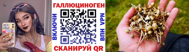 mega сайт  Болхов  Галлюциногенные грибы GOLDEN TEACHER 